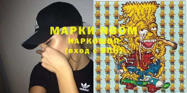 шишки Надым